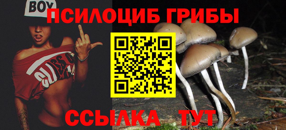 Губкинский  Галлюциногенные грибы ЛСД  Вход с VPN  Псилоцибиновые грибы мицелий 