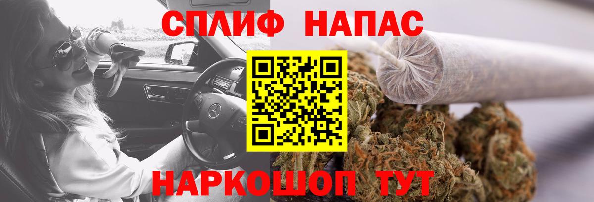 Каннабис индика Губкинский